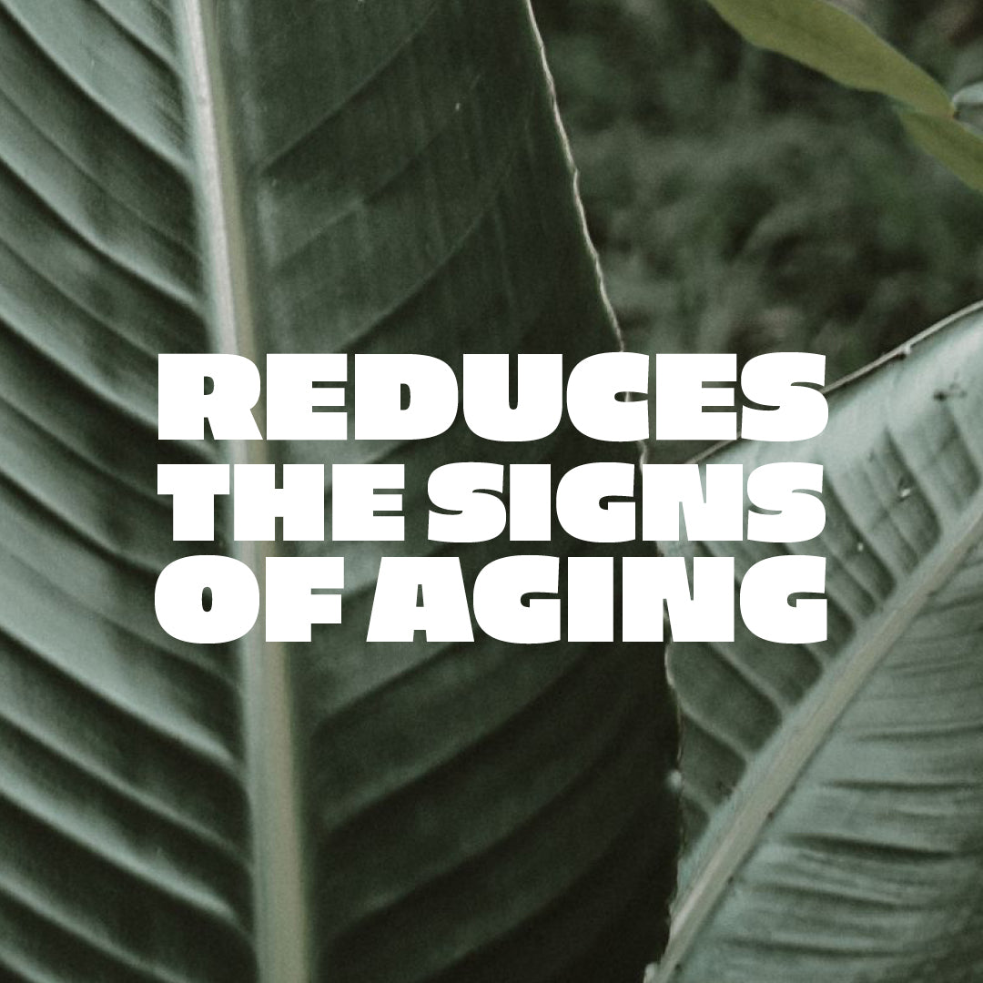 Abbildung der Blätter einer Pflanze mit der Aufschrift: "Reduces the Signs of Aging"