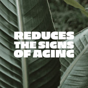 Abbildung der Blätter einer Pflanze mit der Aufschrift: "Reduces the Signs of Aging"