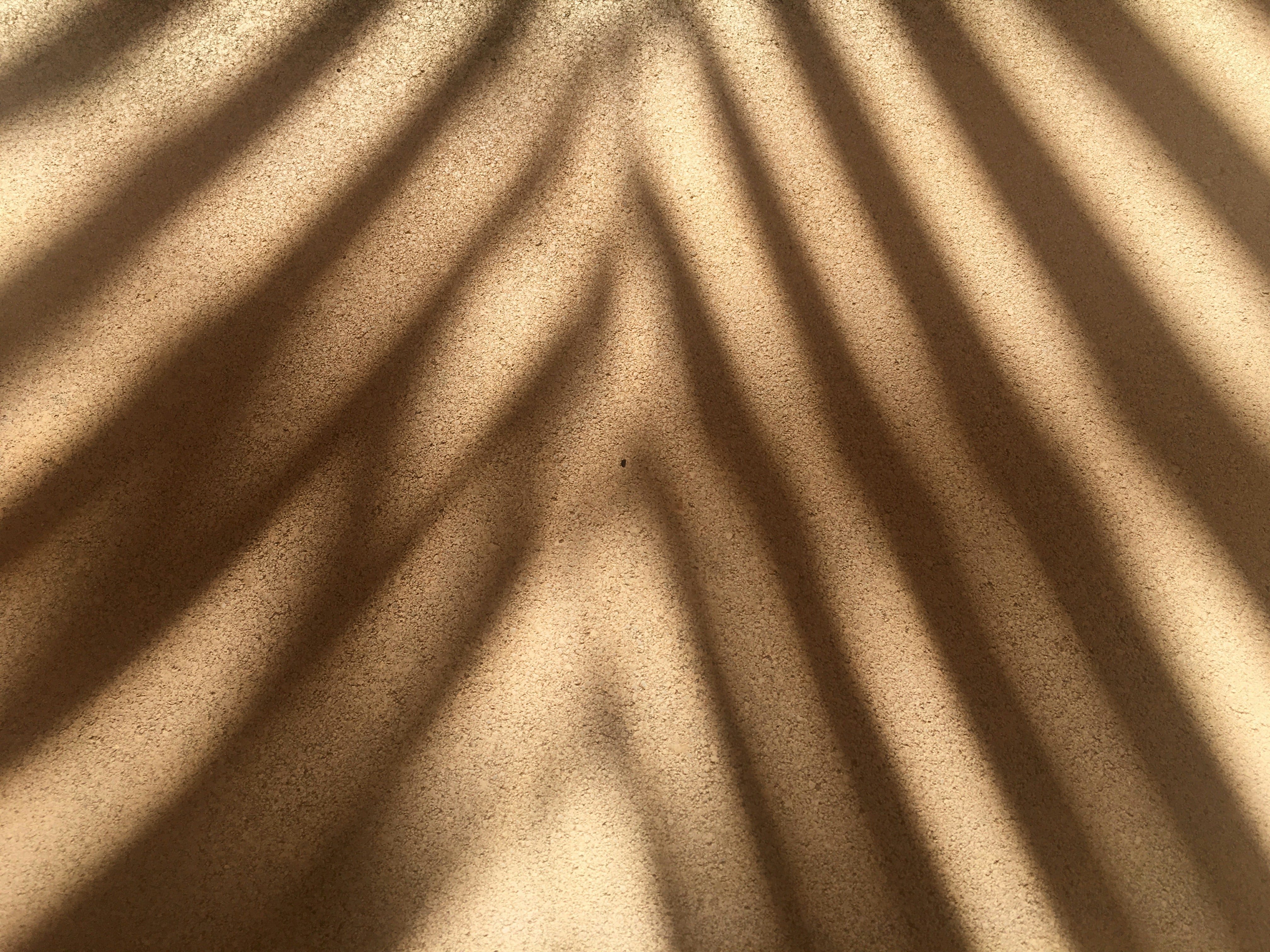 Bali Skin Hintergrundbild Schatten von Palme auf Sand