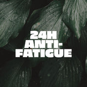 Abbildung der Blätter einer Regenwaldpflanze, von oben, durchnässt vom Regen mit der Aufschrift: "24H Anti-Fatigue"